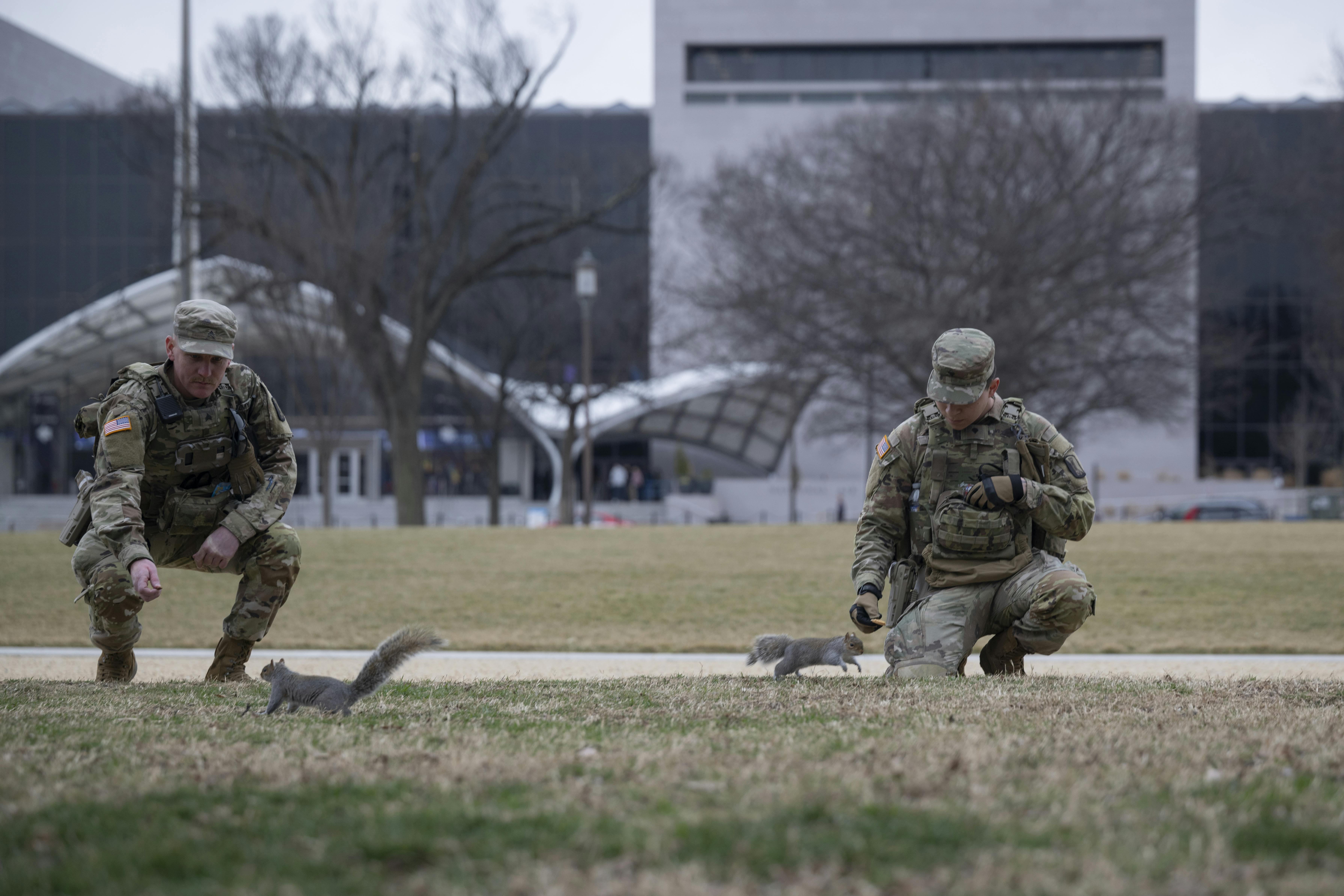 Members of the National Guard feed squirrels on the National Mall in Washington, D.C.