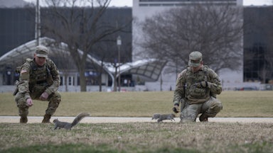 Members of the National Guard feed squirrels on the National Mall in Washington, D.C.