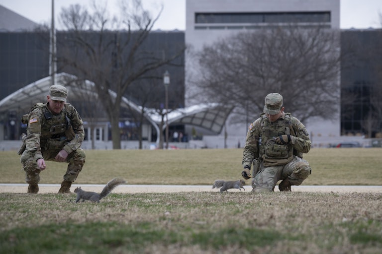 Members of the National Guard feed squirrels on the National Mall in Washington, D.C.