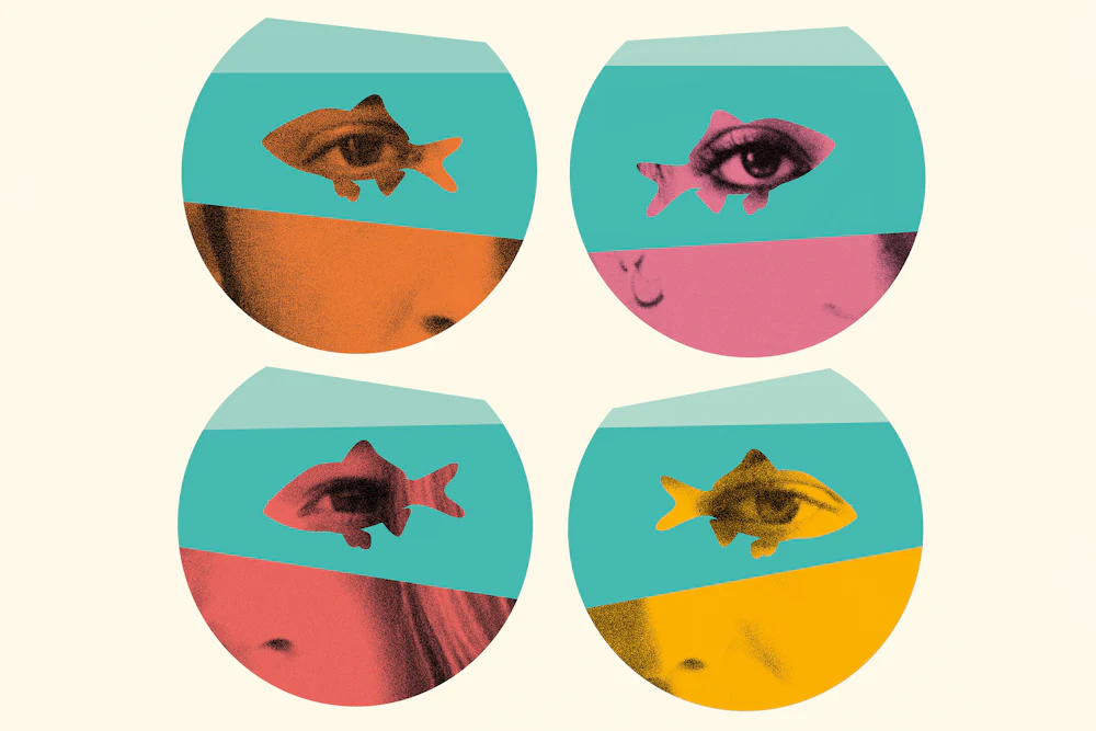A photo illustration of four fish bowls each with an person's eye peering through the negative shape of a goldfish
