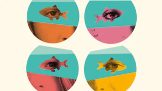 A photo illustration of four fish bowls each with an person's eye peering through the negative shape of a goldfish