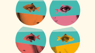 A photo illustration of four fish bowls each with an person's eye peering through the negative shape of a goldfish