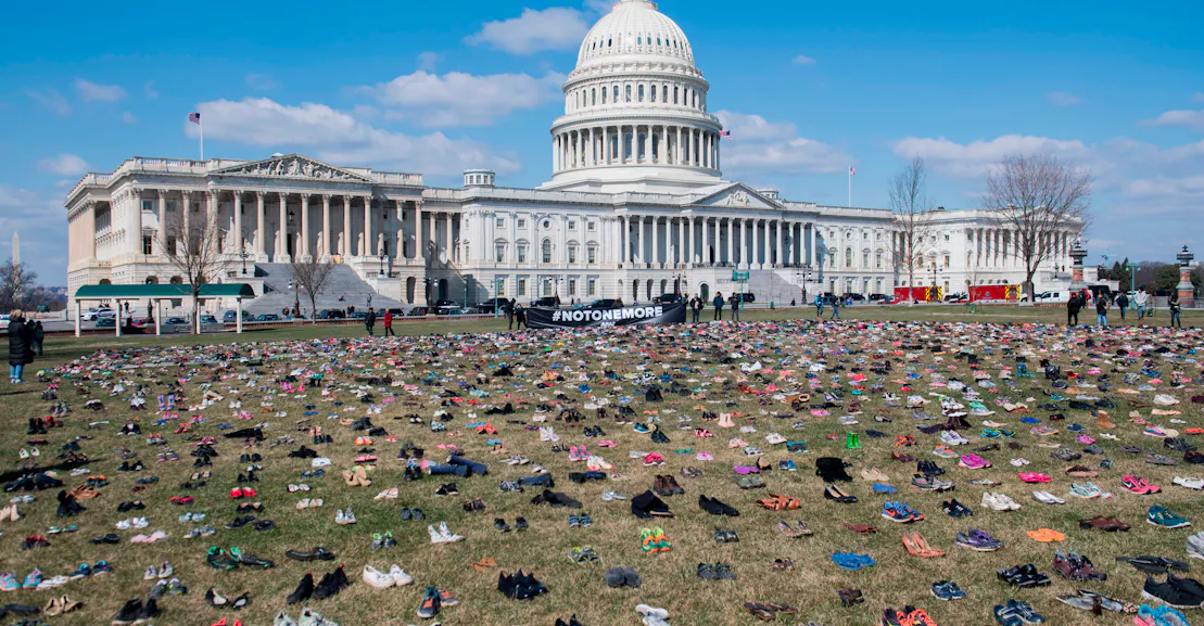 The American Political System Is Designed to Thwart Gun Control The American Political System Is Designed to Thwart Gun Control