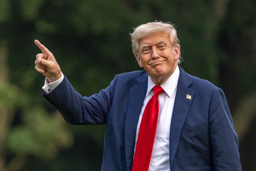 Donald Trump walks on the south lawn of the White House and points up at the new flag.