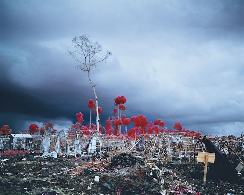 Richard Mosse