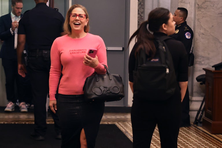 What Kyrsten Sinema decided to wear on the day she voted to block Biden’s NLRB nominee, December 11, 2024.