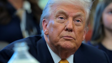 Donald Trump stares vacuously