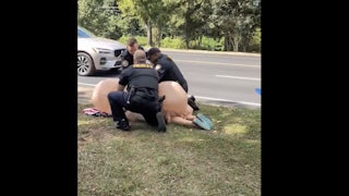 Three police officers (two white, one Black) arrest a woman dressed in an inflatable penis costume, as she lays on her face on the ground.