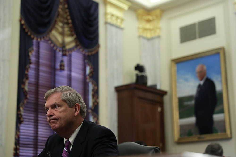 Tom Vilsack testifies during a hearing in 2016.