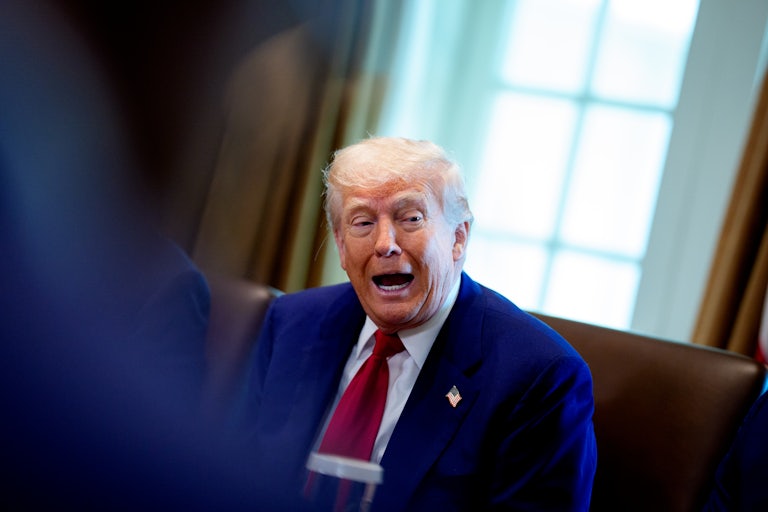 Donald Trump speaks during a Cabinet meeting