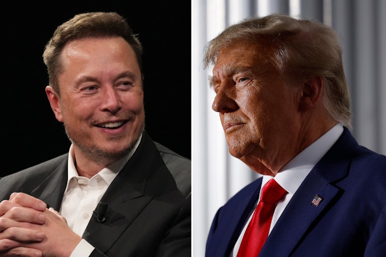 Elon Musk and Donald Trump side by side