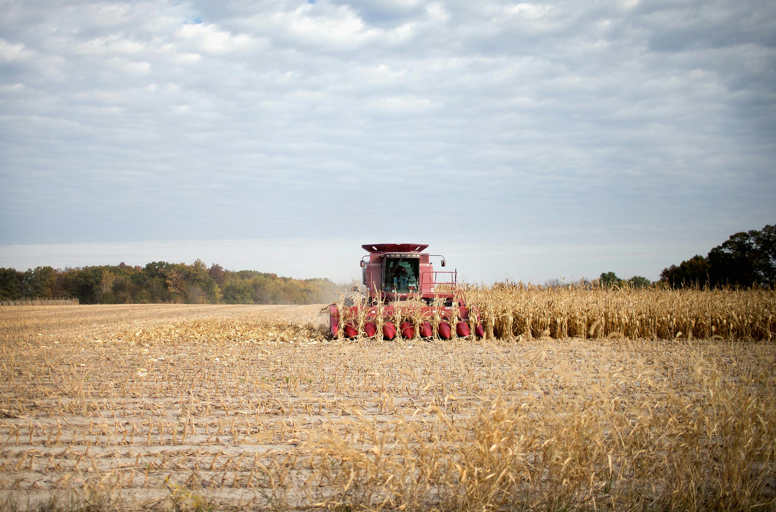 Trump’s Farmer Bailout and America’s Broken Food System