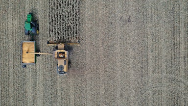 An aerial view from a drone shows a combine harvesting corn.