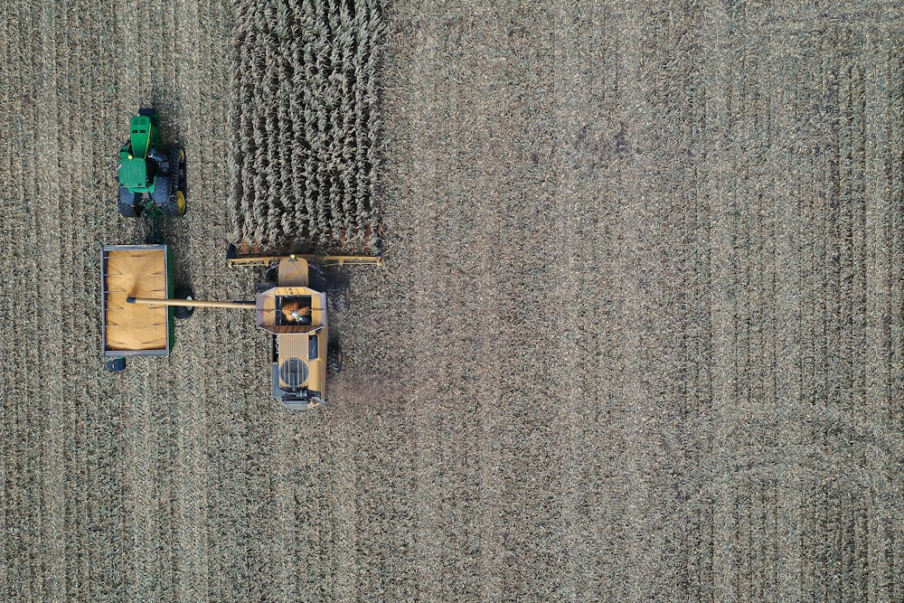 An aerial view from a drone shows a combine harvesting corn.