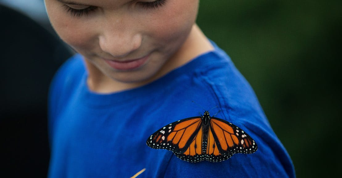 Climate Change Means Teaching Kids to Love What They Might Soon Lose Climate Change Means Teaching Kids to Love What They Might Soon Lose
