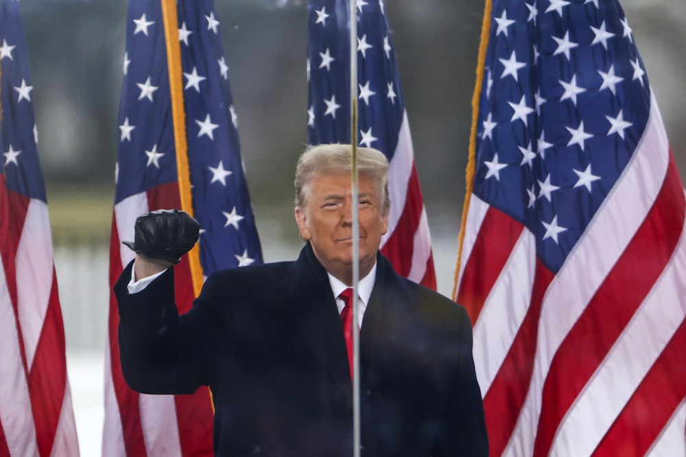 Trump at the "Stop The Steal" rally
