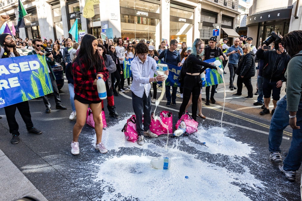 Demonstrators pour milk onto the street.