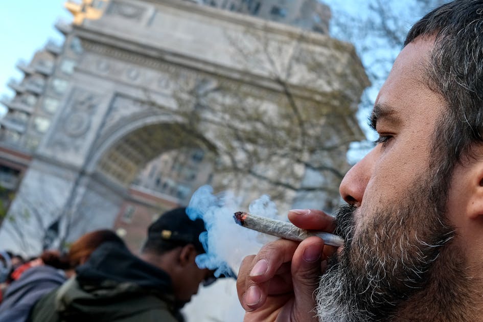 newrepublic.com - Harry Litman - Should Stoners Have Guns? It Depends on How Much John Adams Drank.