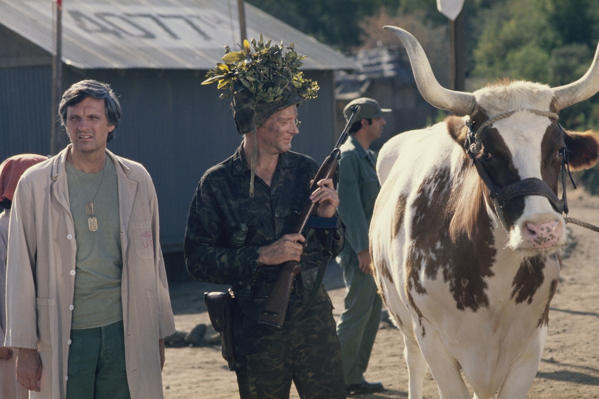 Minnesota Republican Opposes Gun-Safety Bill Because Murderous Cows Minnesota Republican Opposes Gun-Safety Bill Because Murderous Cows