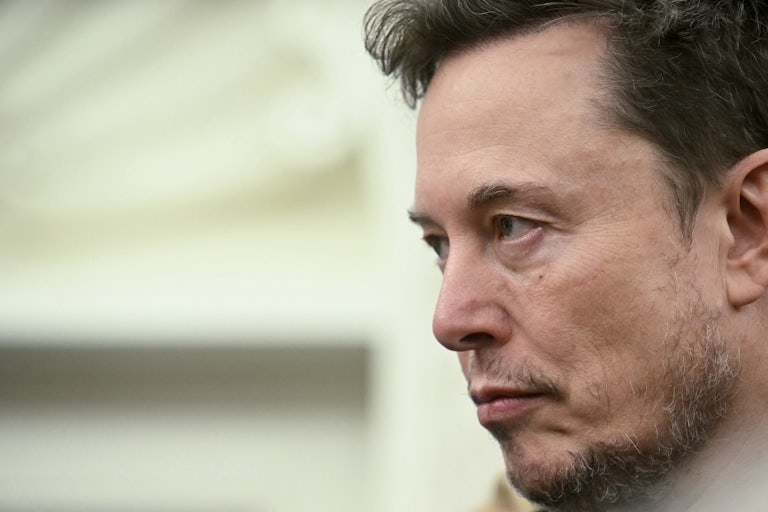 Elon Musk stands in the Oval Office