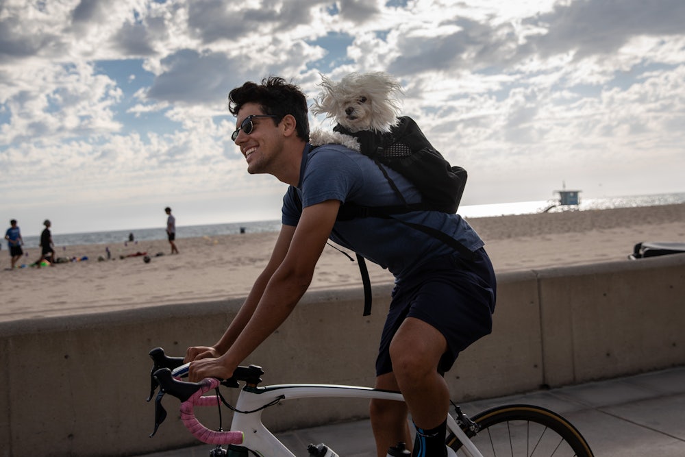 A man bikes with a dog in his backpack along The Strand in Hermosa Beach, CA.