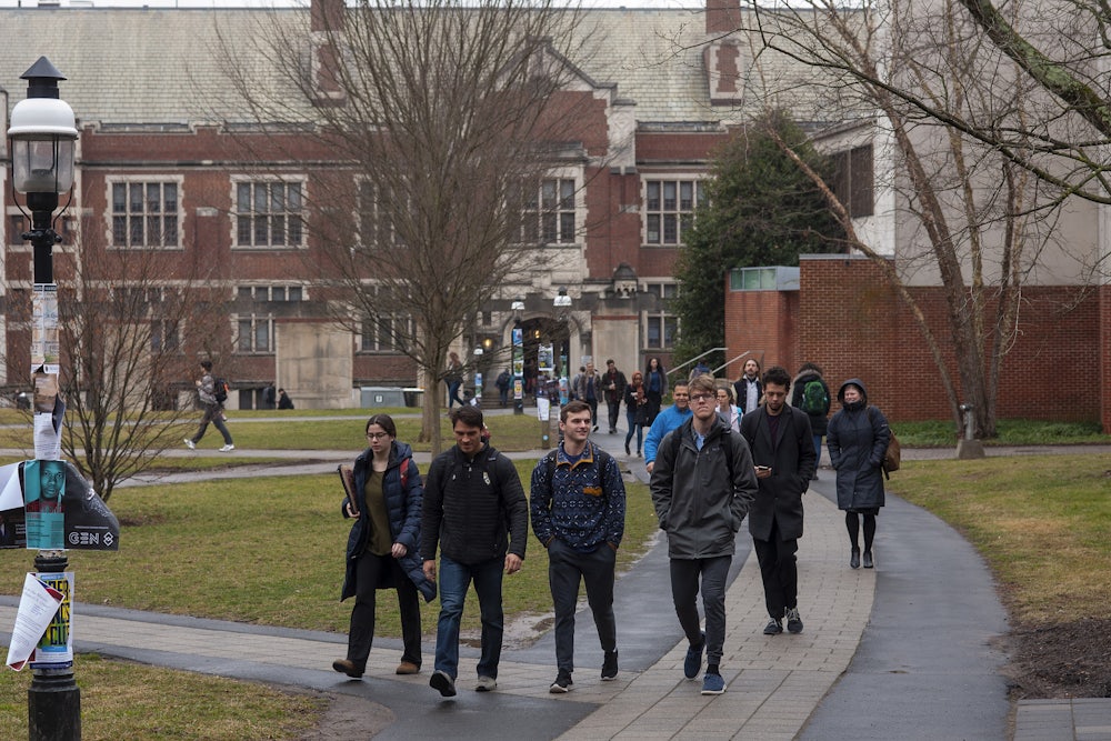Students walk on a path outside on Princeton University campus.