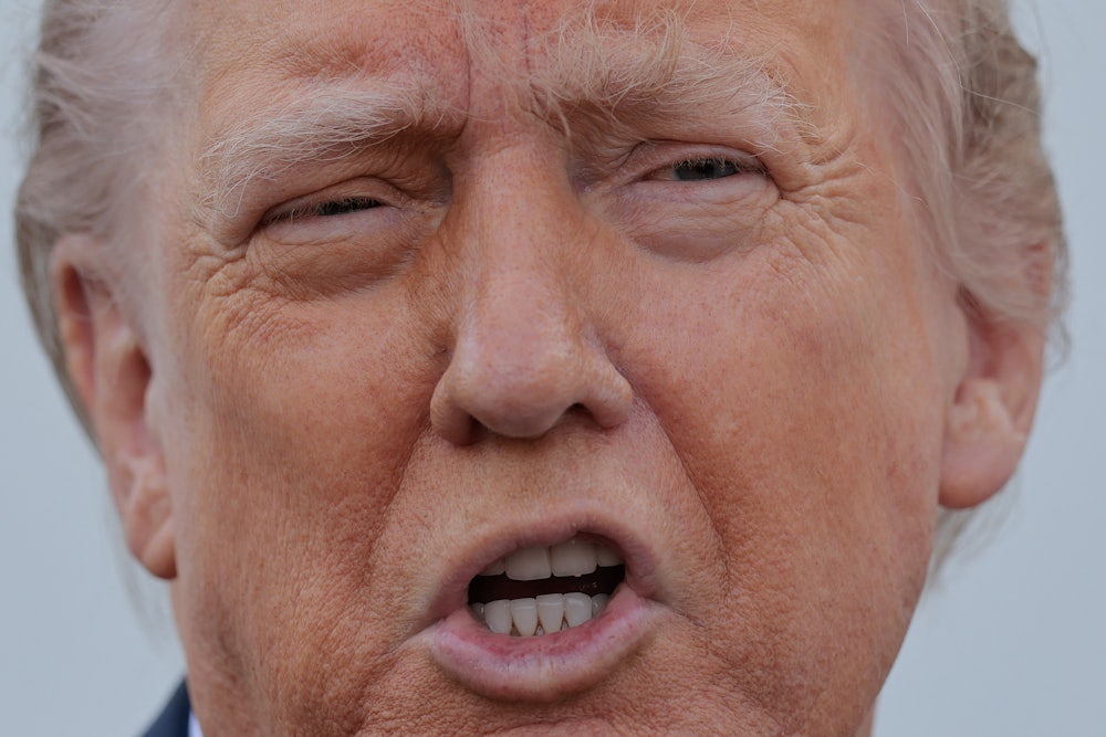 Close-up of Donald Trump speaking