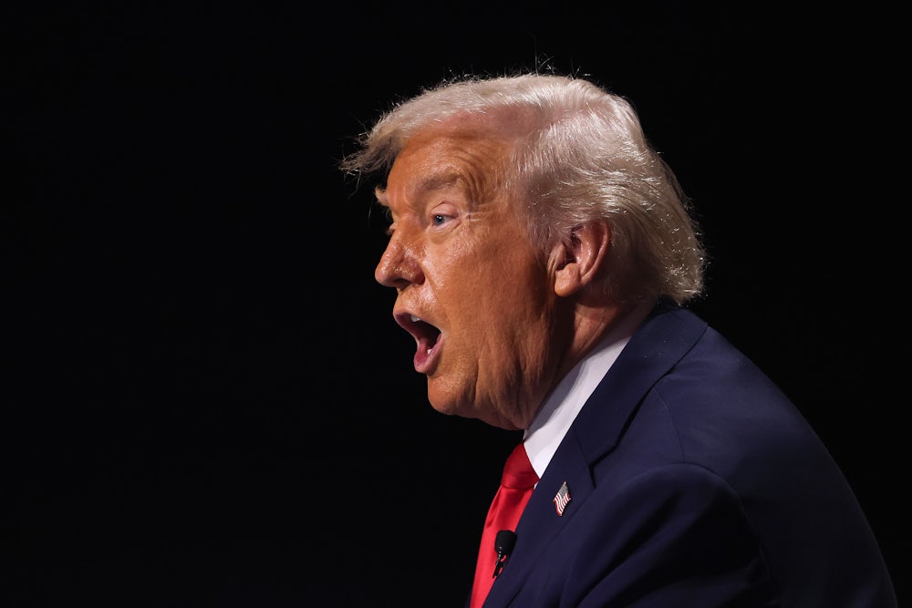 Donald Trump is seen in profile while speaking