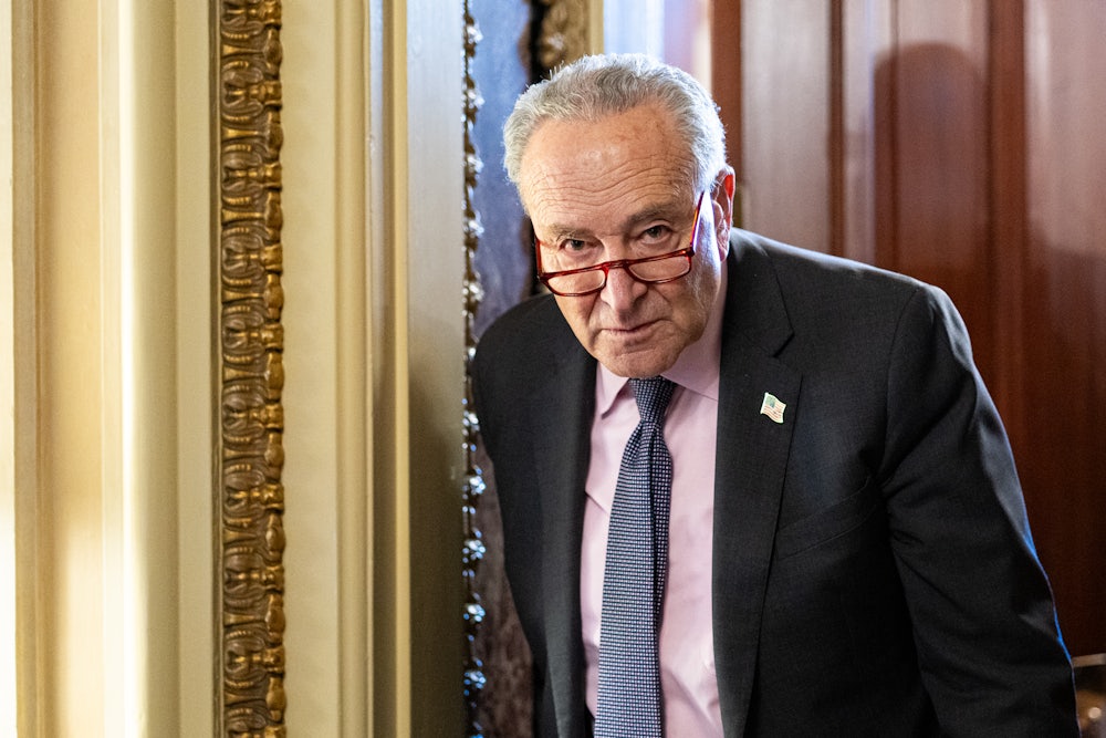 Senate Minority Leader Chuck Schumer at the Capitol
