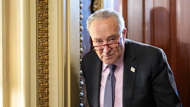 Senate Minority Leader Chuck Schumer at the Capitol