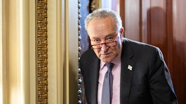 Senate Minority Leader Chuck Schumer at the Capitol