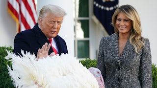 Donald Trump "pardons" the turkey.