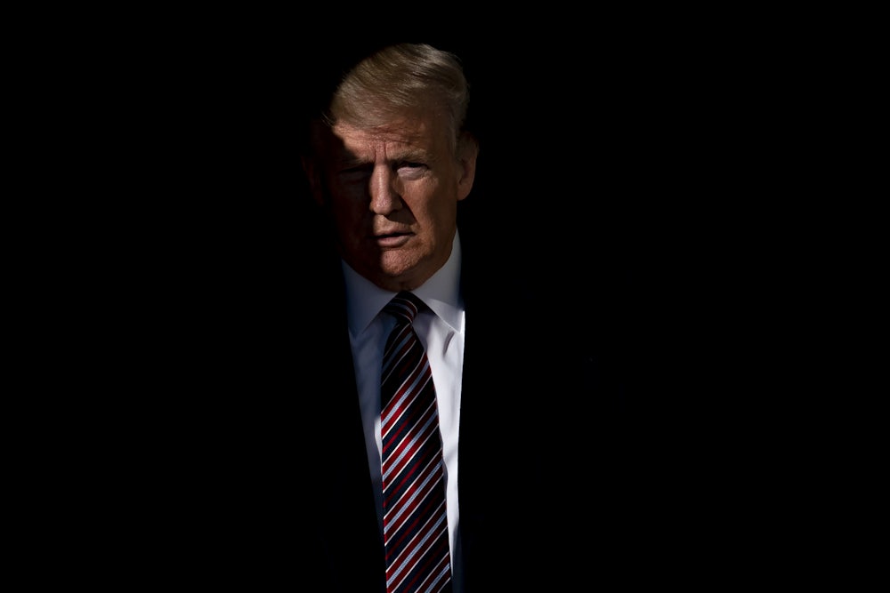 Trump in shadow
