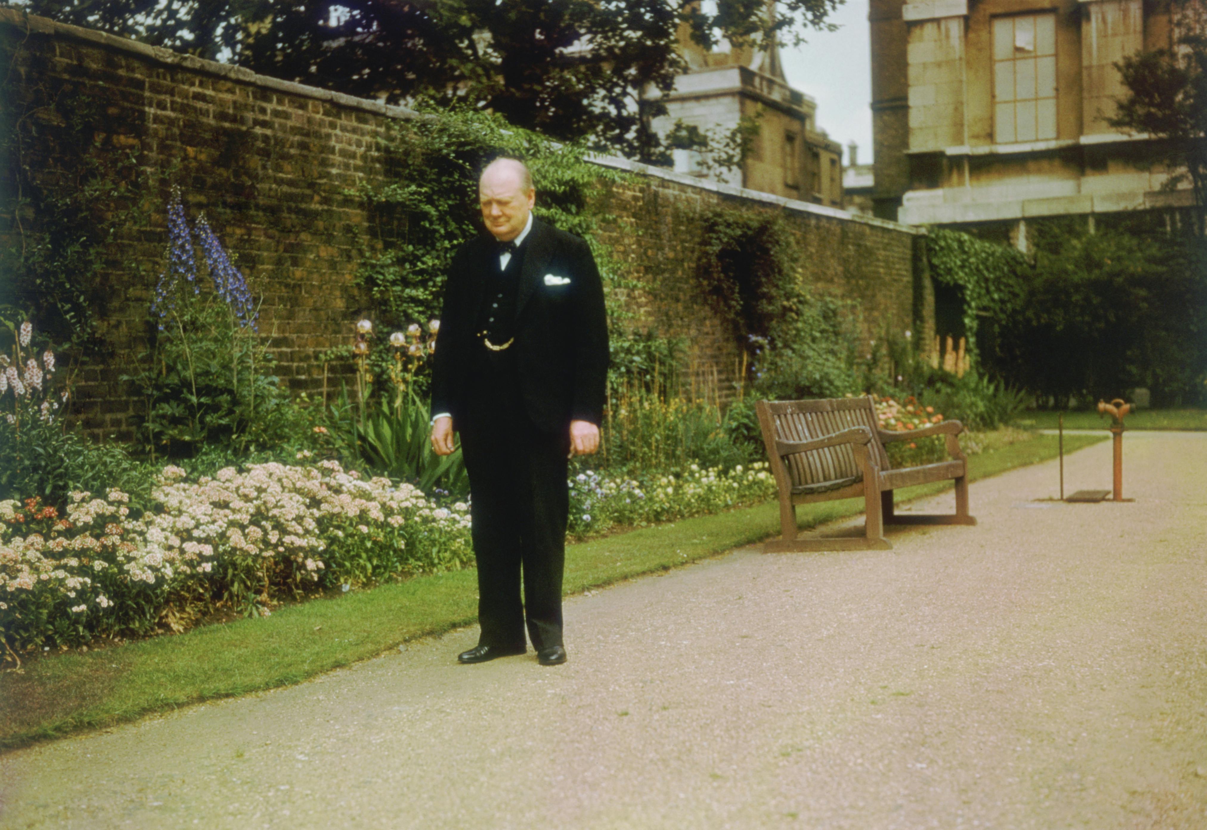 Churchill in the garden at 10 Downing Street, London