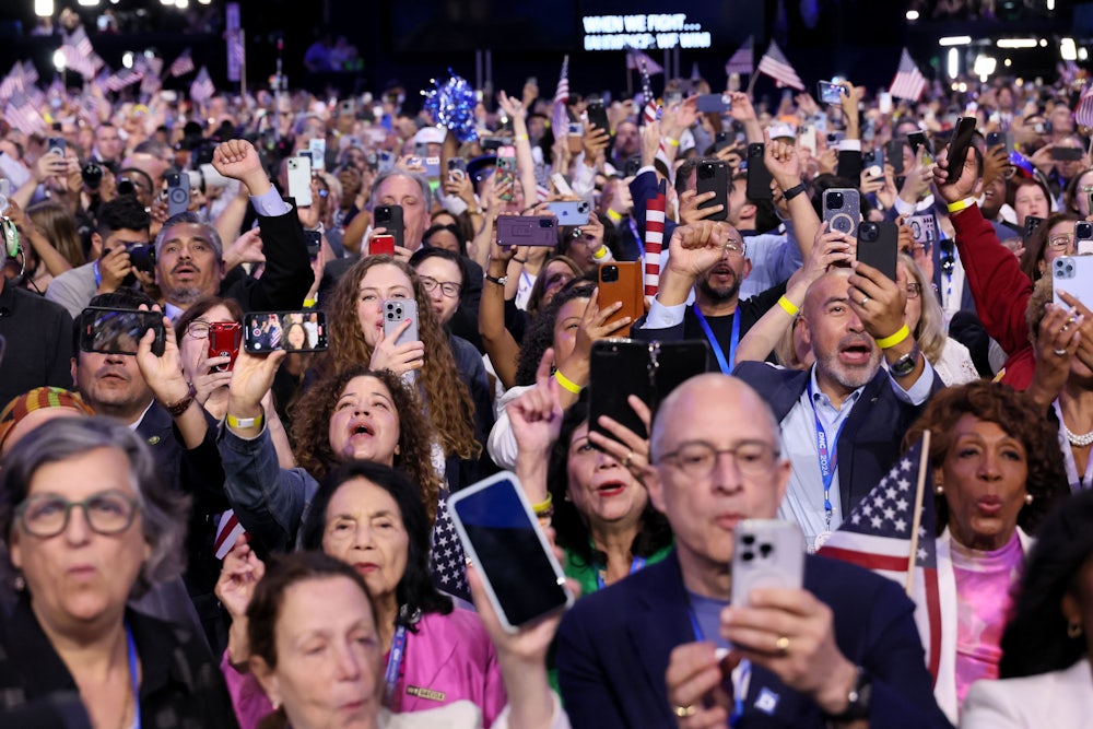 Delegates at the 2024 Democratic National Convention