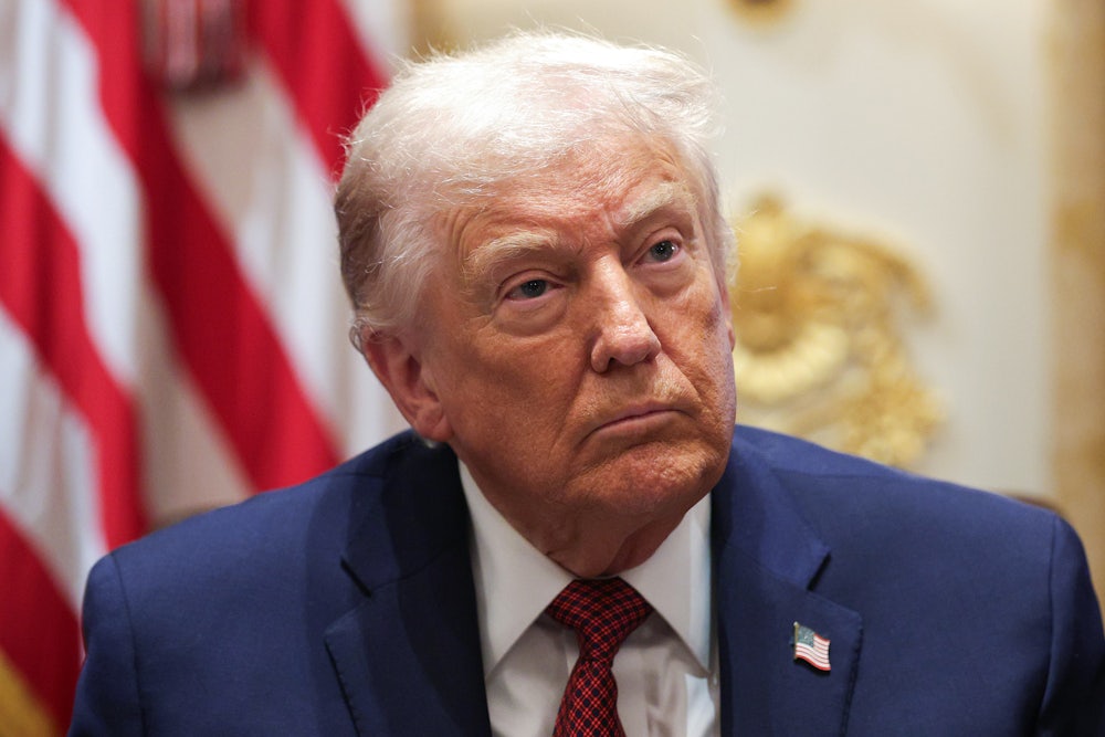 Donald Trump stares vacantly