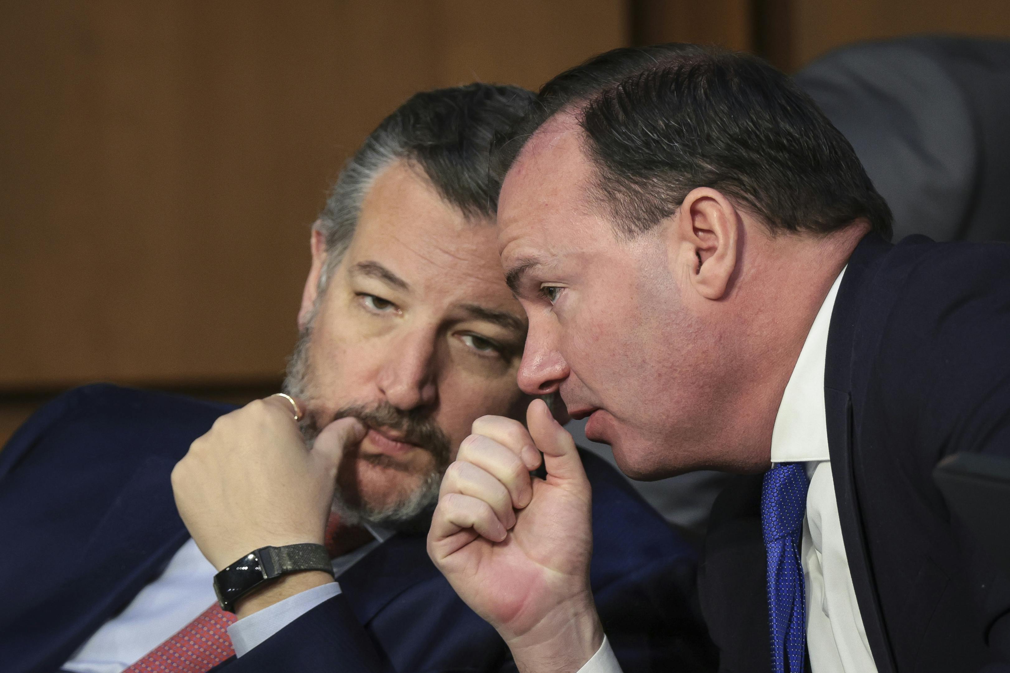 Cruz and Lee during a Senate Judiciary Committee meeting