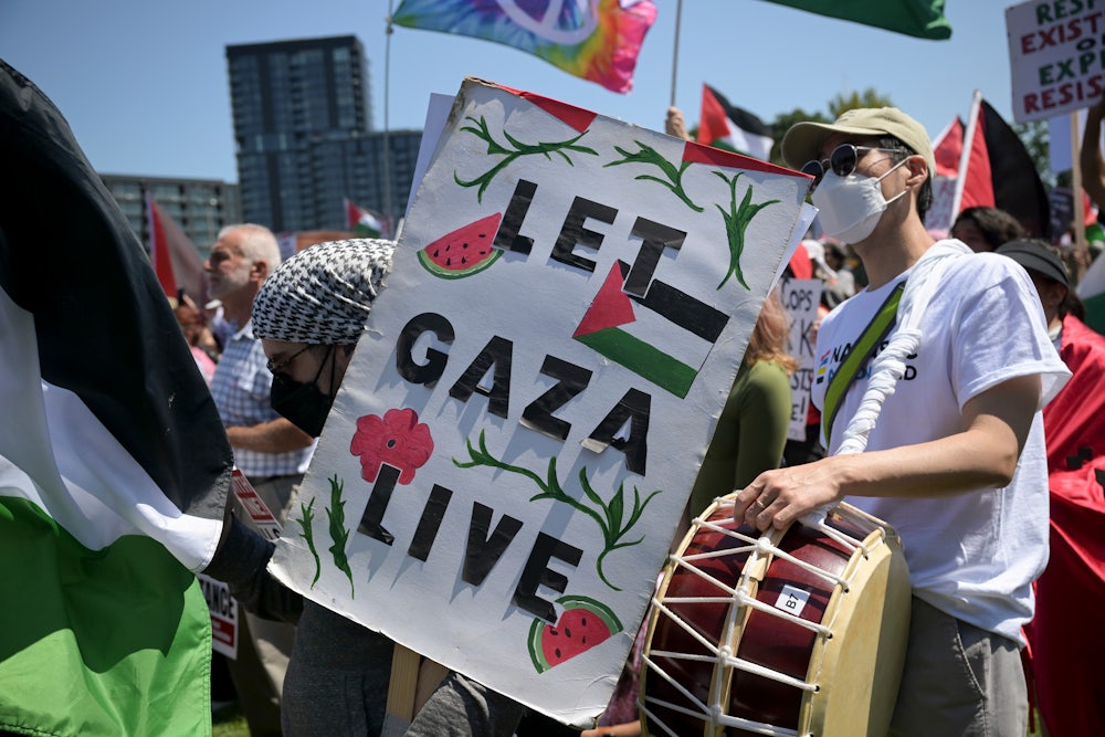 A demonstrator carries a sign in support of a ceasefire in Gaza at the Democratic National Convention in Chicago.