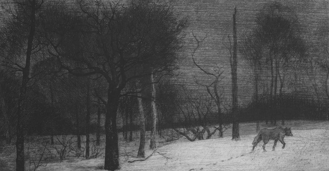 Wolfish Is a Deep Dive Into Fear Wolfish Is a Deep Dive Into Fear