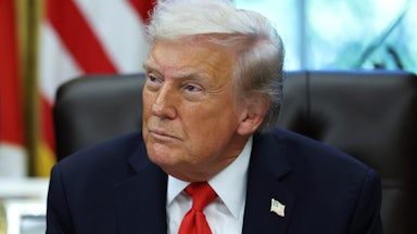 Donald Trump in the White House