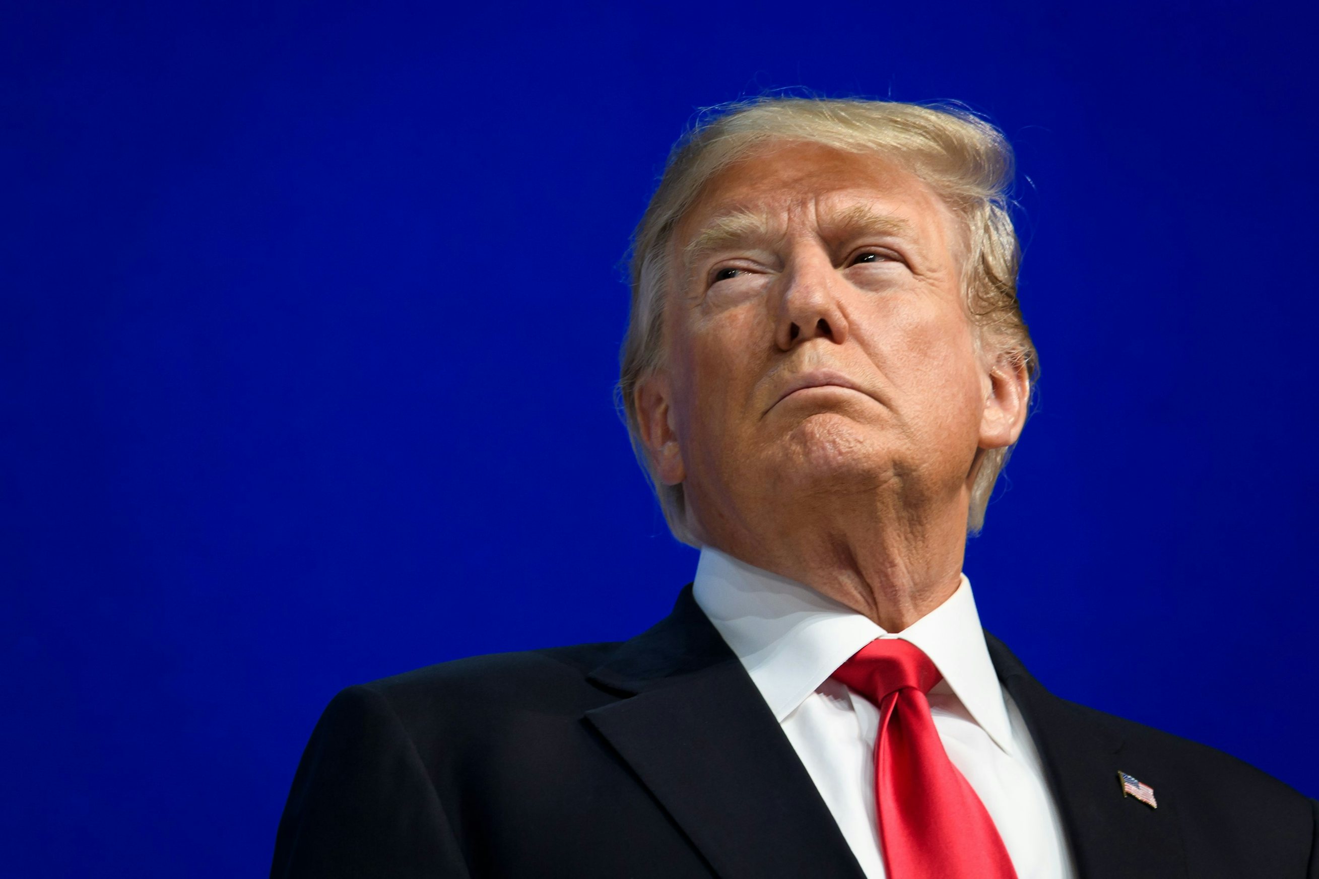 The Grizzly'S Immense Power: How Big Are They Compared To Us? - fy6fu0j