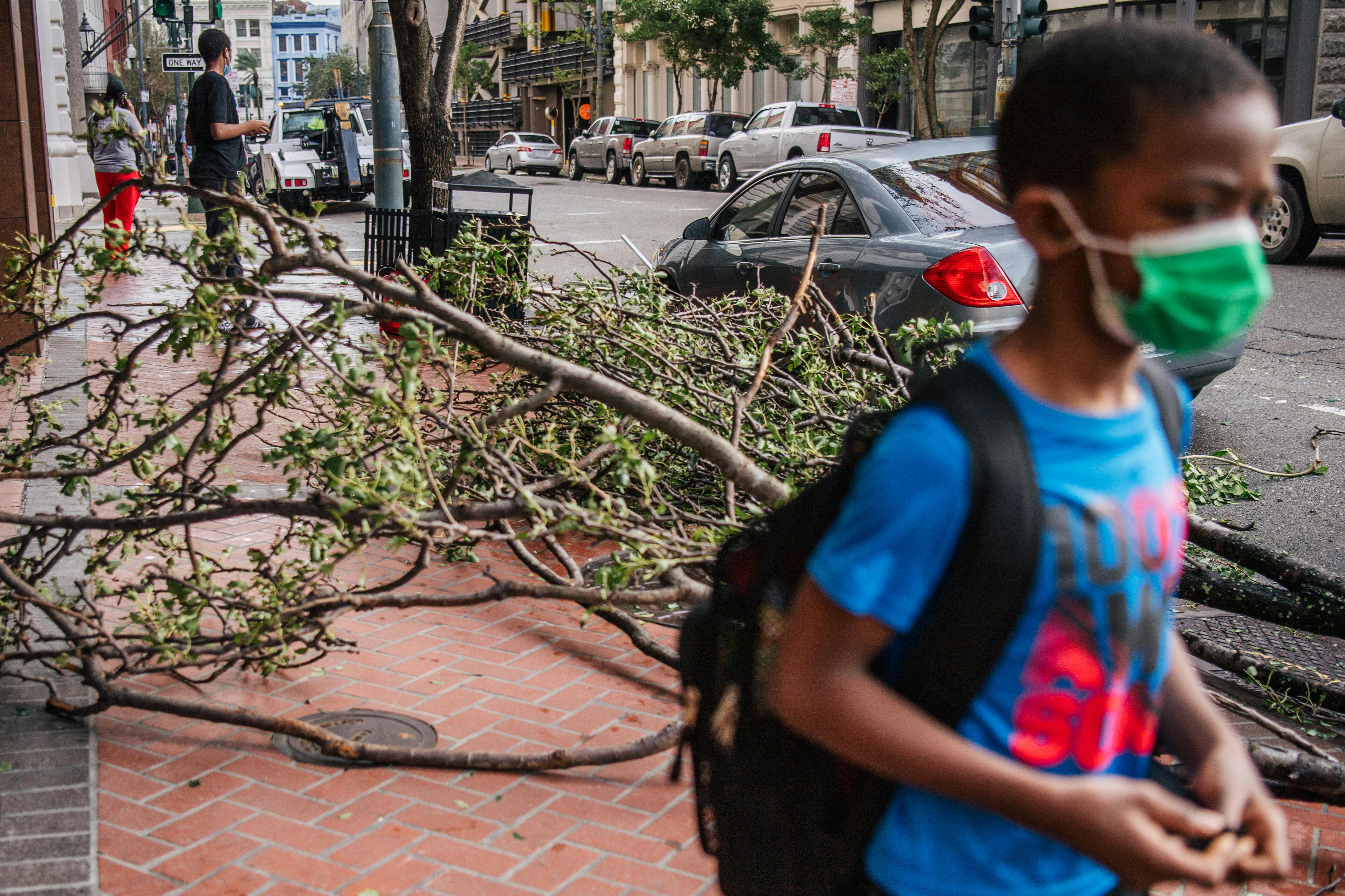 A child wearing a face mask stands in front of a fallen tree on the sidewalk.