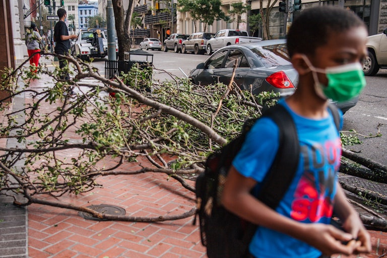 A child wearing a face mask stands in front of a fallen tree on the sidewalk.