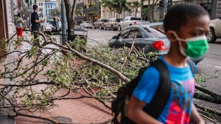 A child wearing a face mask stands in front of a fallen tree on the sidewalk.