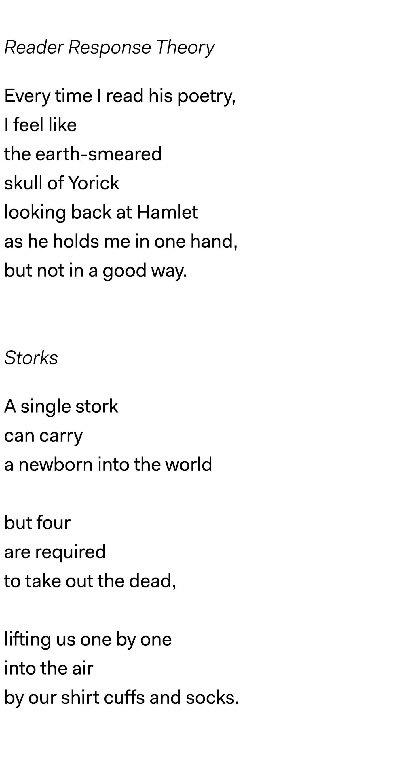 Poem converted to an image to maintain layout structure. Poem text reads as follows: Reader Response Theory Every time I read his poetry, I feel like the earth-smeared skull of Yorick looking back at Hamlet as he holds me in one hand, but not in a good way. Storks A single stork can carry a newborn into the world but four are required to take out the dead, lifting us one by one into the air by our shirt cuffs and socks.