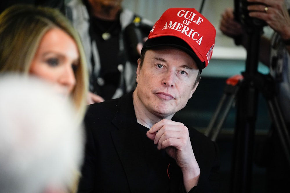 Musk failing to properly wear a hat