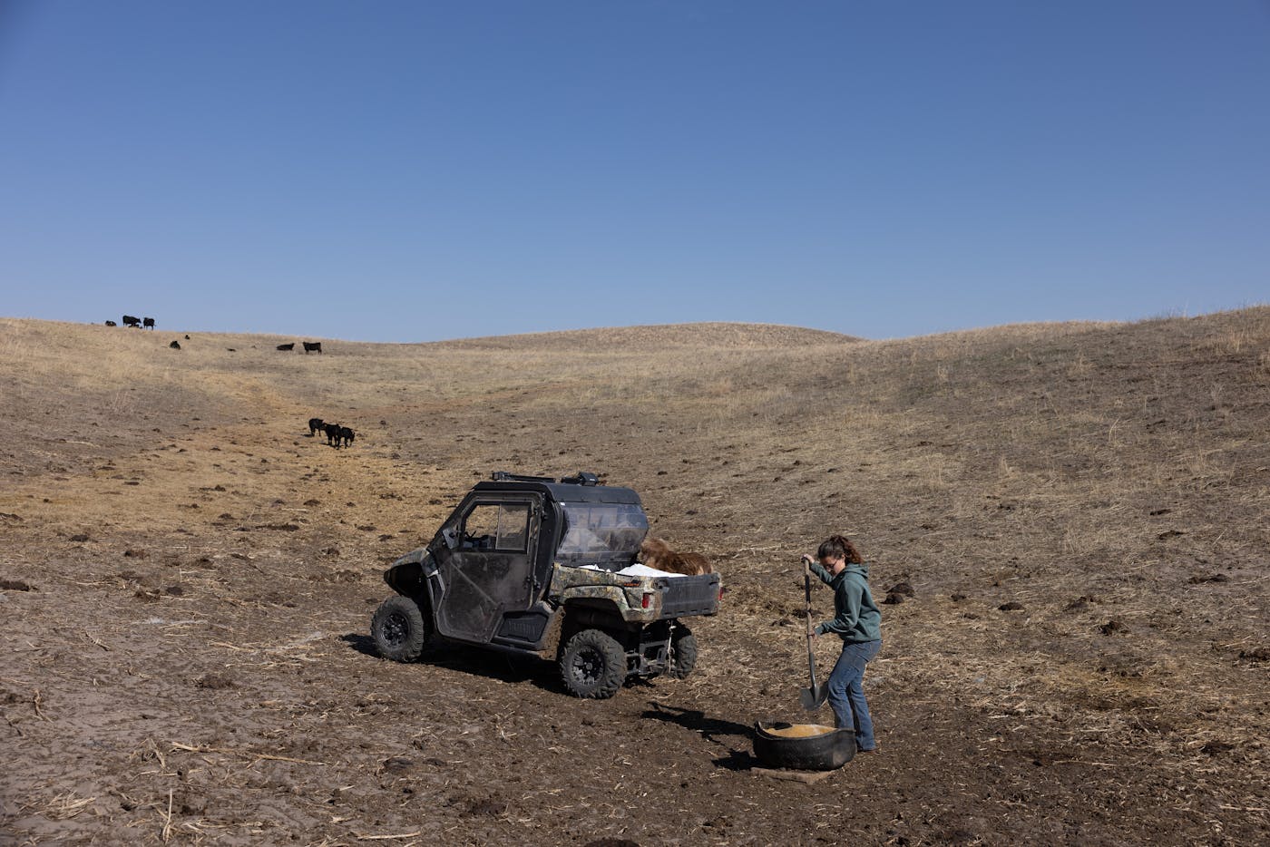 An off-road vehicle and ranch worker with cattle in the background.