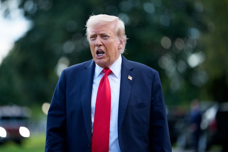 Donald Trump speaks to members of the media on the South Lawn of the White House.