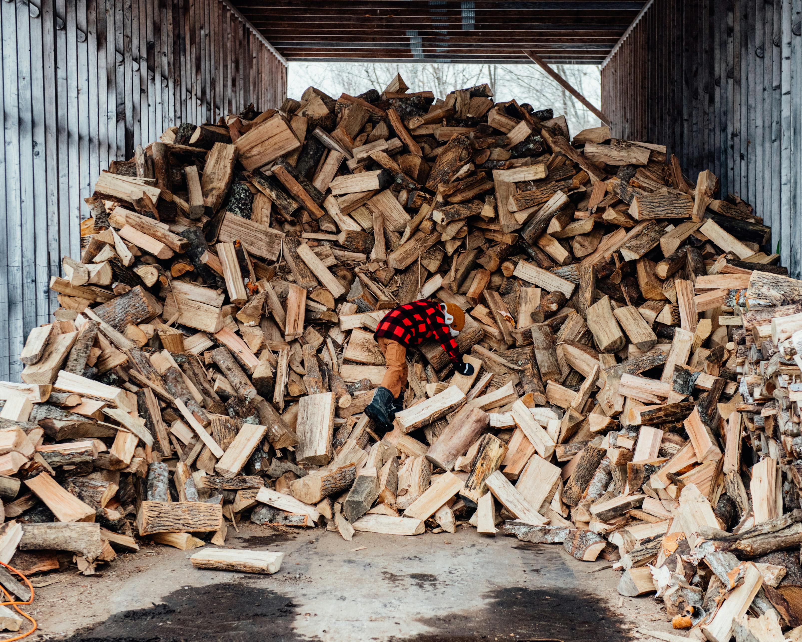 A child in boots and a plaid jacket climbs on an enormous pile of split wood in a partially open shelter.