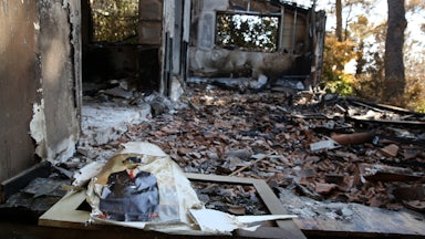 A print of the famous painting of a man with an apple in front of his face lies amid the ruins of a burned house.